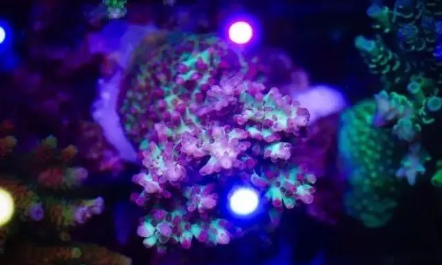 whatsapp时钟不正确怎么调,whatsapp显示版本过低