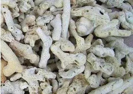 whatsapp时钟不正确怎么调,whatsapp显示版本过低