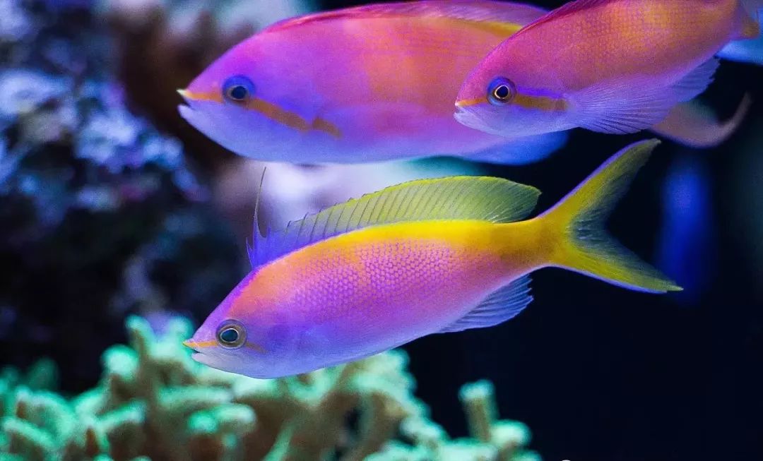 whatsapp时钟不正确怎么调,whatsapp显示版本过低