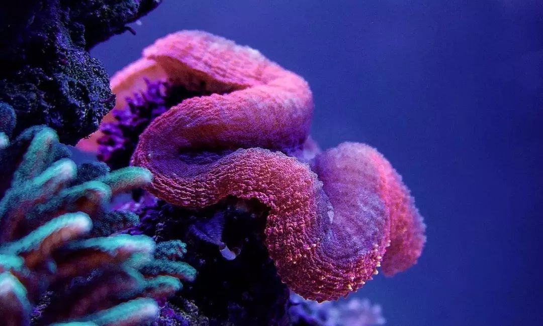 whatsapp时钟不正确怎么调,whatsapp显示版本过低