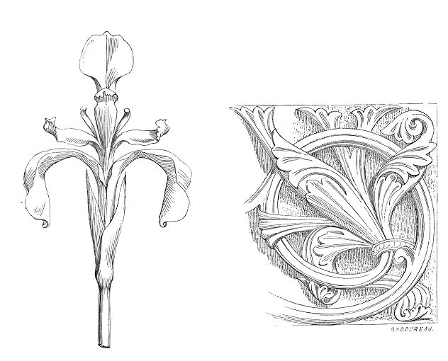 球迷的最高境界,球迷应该具备的知识