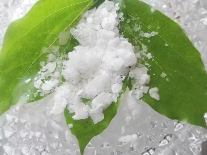 保湿、消炎、止痒、晒后修复，一管芦荟胶全搞定，宝宝也能用