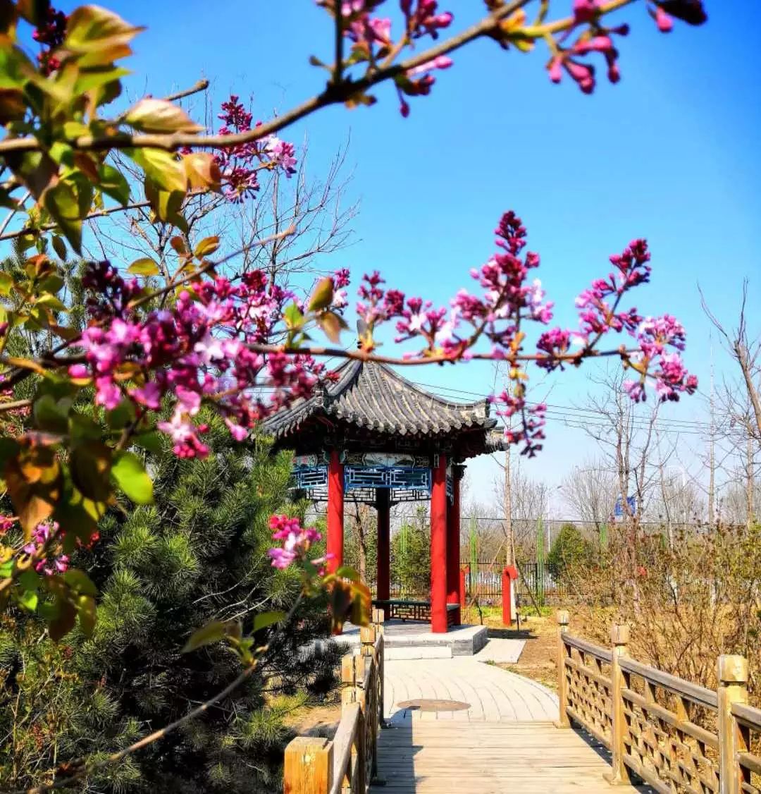 姘镐箰搴椾腑瀛︽父娉宠,鍖椾含甯傛案涔愬簵涓闄嗗湴鍐板６