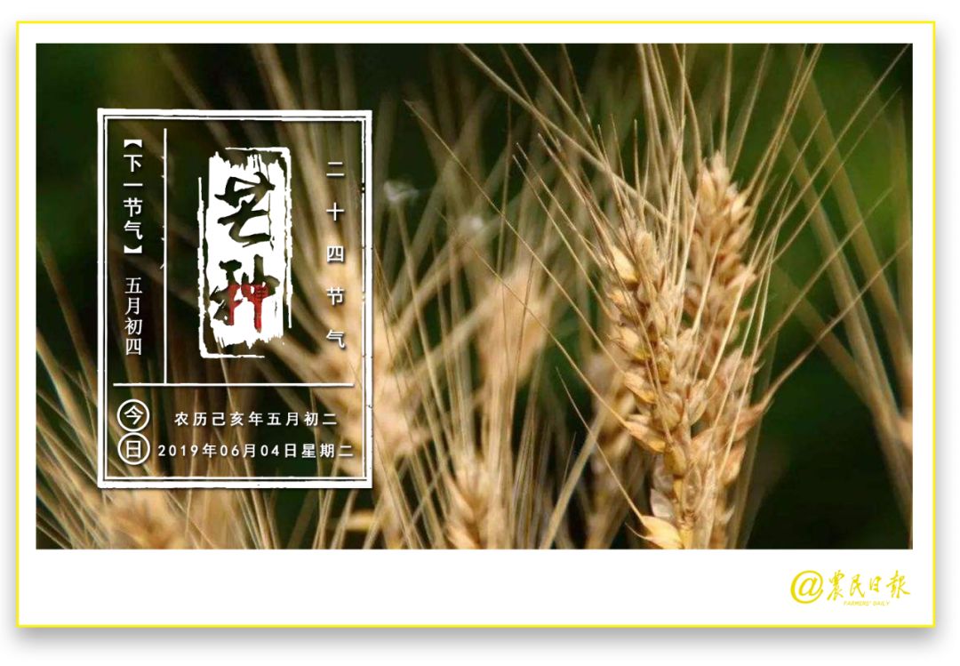 撑起保护网,撑起一把安全伞