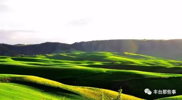 OMG！拿下万千家庭，一口就上瘾~~仅有1/1000的人才能喝到的“奶中贵族”，竟然是它