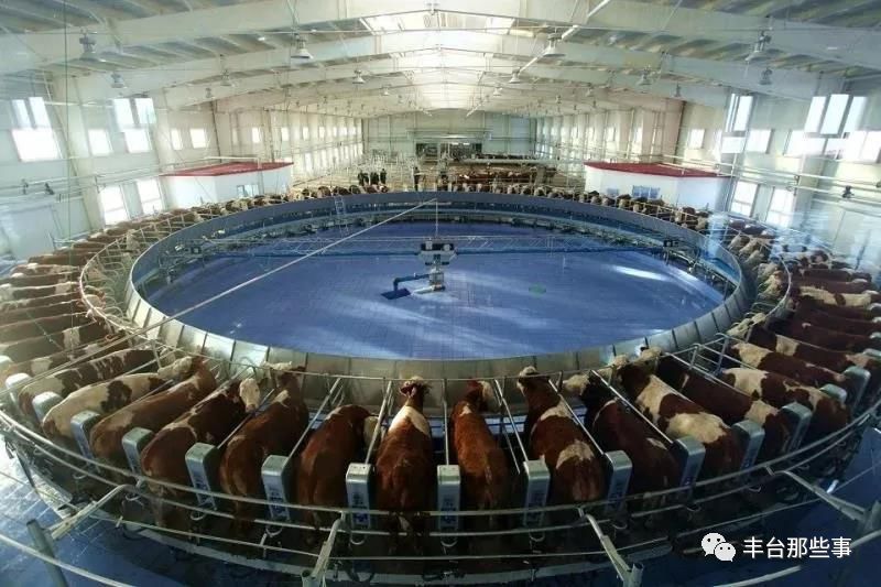 OMG！拿下万千家庭，一口就上瘾~~仅有1/1000的人才能喝到的“奶中贵族”，竟然是它