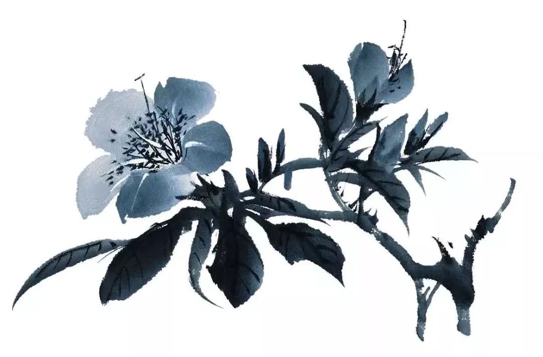 我的父亲母亲任正非完整版,我的父亲母亲任正非节选