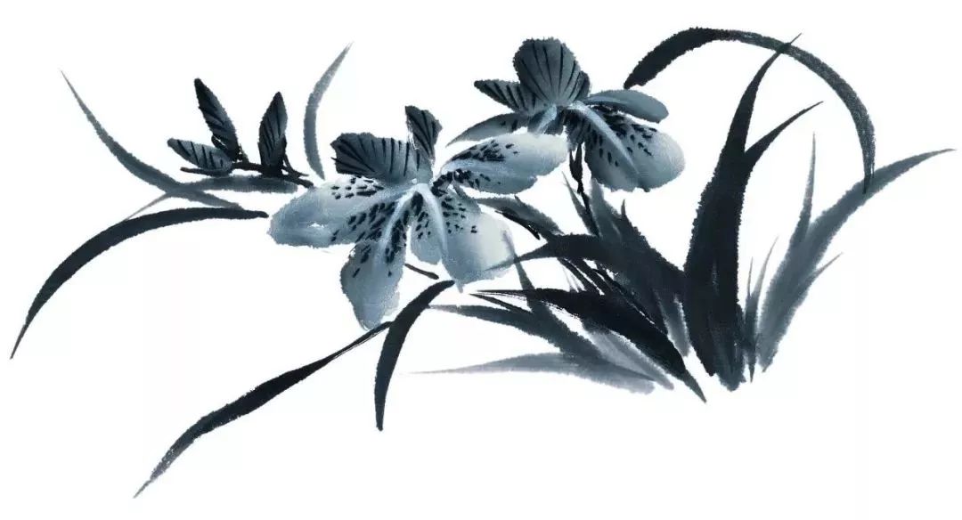 我的父亲母亲任正非完整版,我的父亲母亲任正非节选