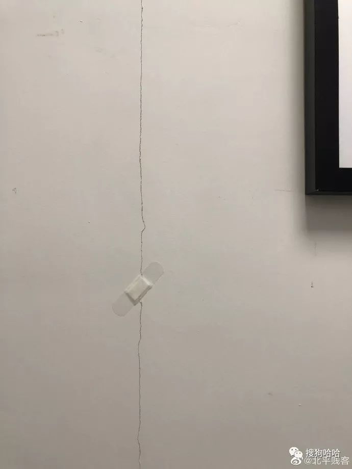 小学生搞笑作文爸爸的绝招,爸爸的十个绝招