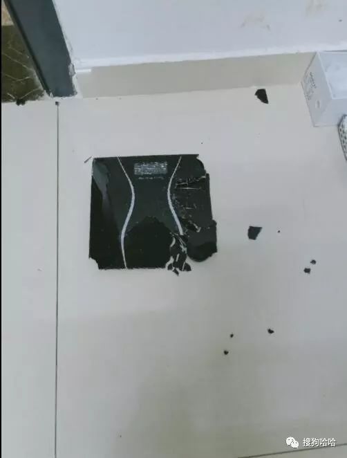 小学生搞笑作文爸爸的绝招,爸爸的十个绝招