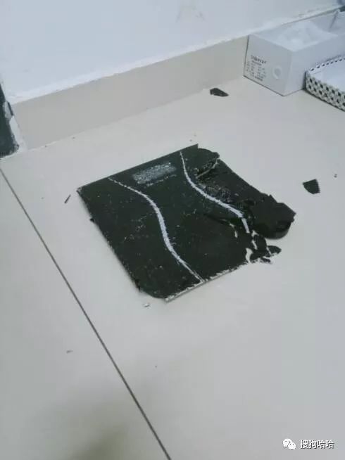 小学生搞笑作文爸爸的绝招,爸爸的十个绝招