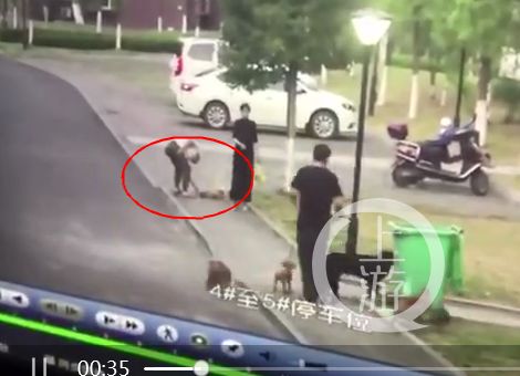 小狗遭不拴绳大狗撕咬，男子护小狗不成被咬！*体下**缝30多针