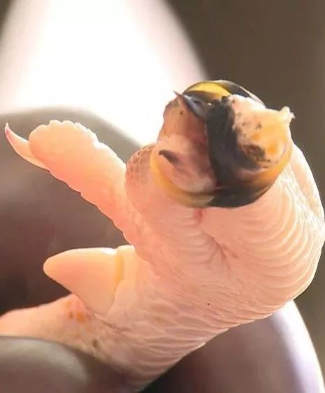 电动车爆燃的危害,电动车爆燃的威力超出想象