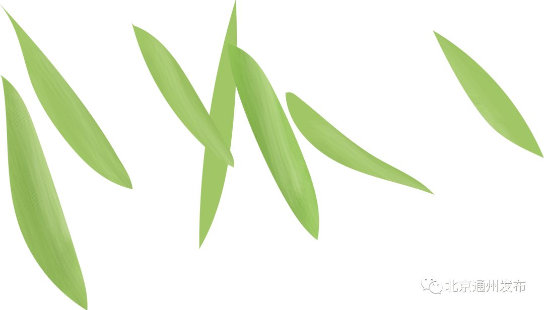 通州新地块最新消息,通州景观大道