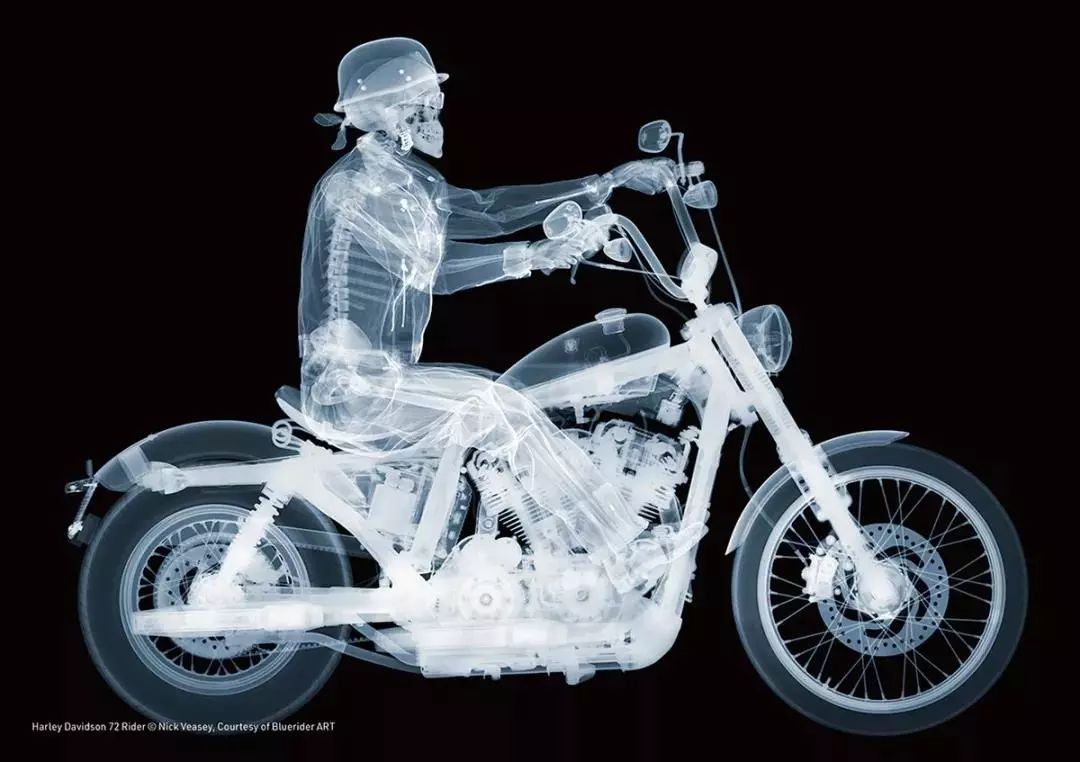 厦门艺术活动快闪视频,2023艺术厦门博览会