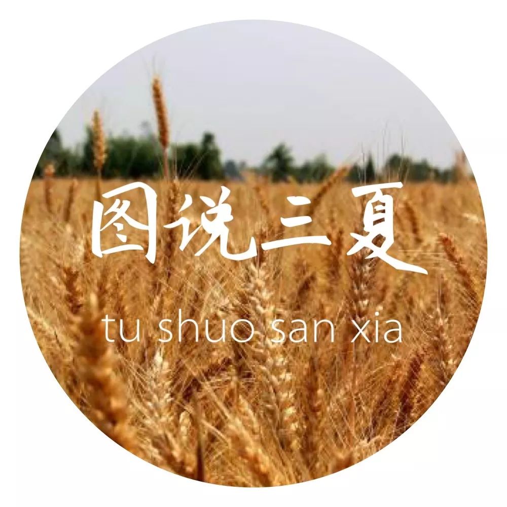 三夏时节插秧忙,旱大米种植技术