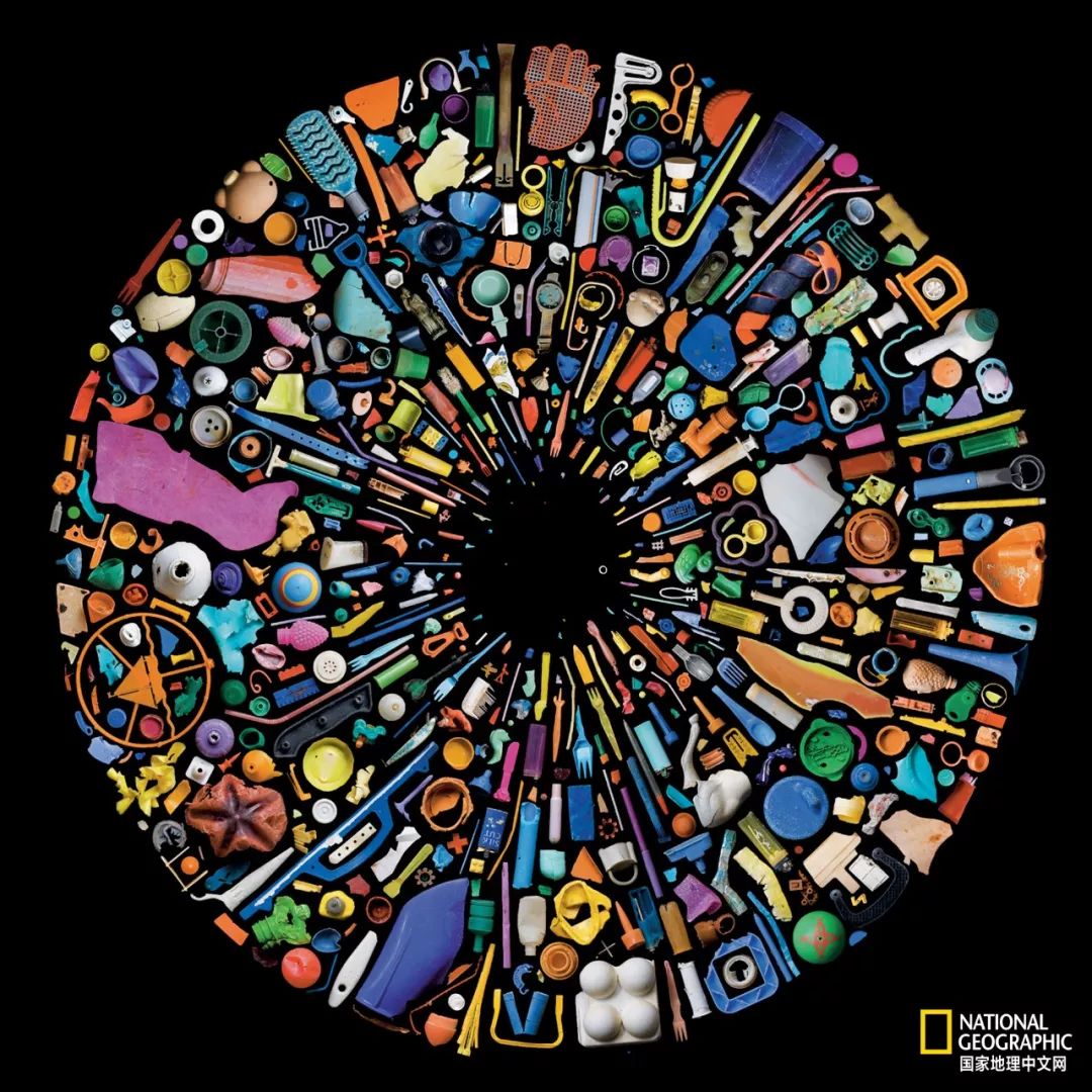 最脏的冰棍,世界上最肮脏的冰棍