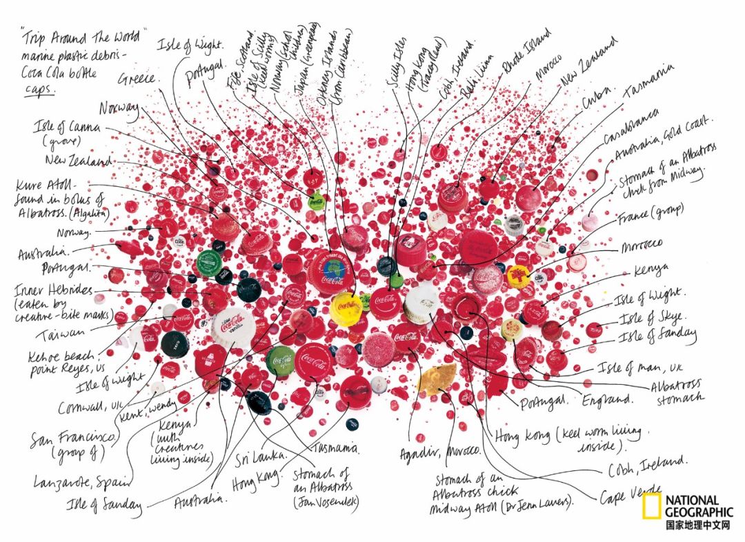 最脏的冰棍,世界上最肮脏的冰棍