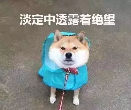 雅诗兰黛小棕瓶眼部精华618活动,618好物节雅诗兰黛小棕瓶精华