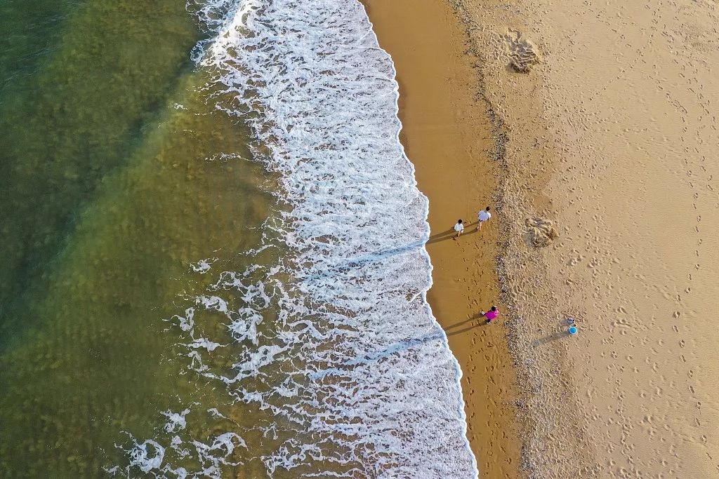 海鲜痛风大礼包,痛风零食礼包