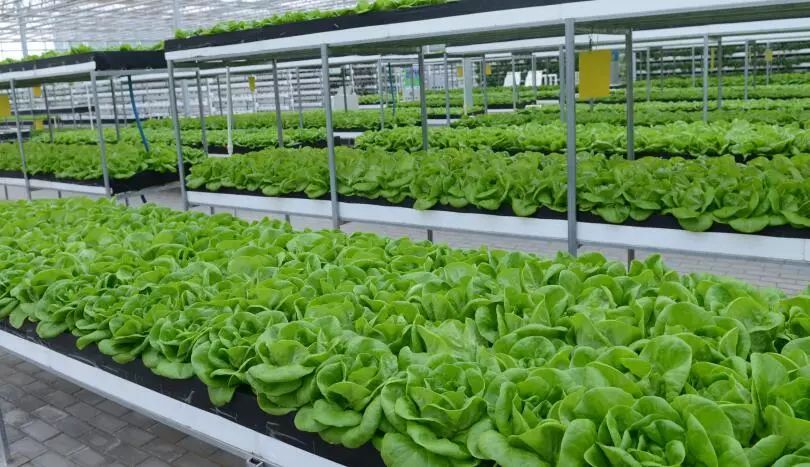 端午小长假去哪玩来这里过足瘾,临河五一假日攻略