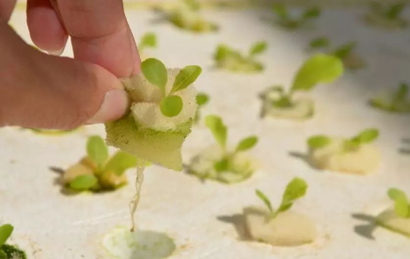 端午小长假去哪玩来这里过足瘾,临河五一假日攻略