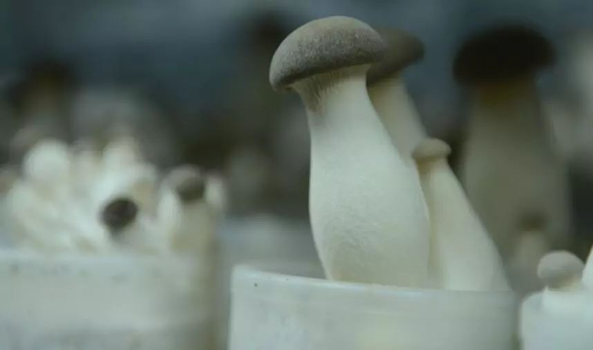 端午小长假去哪玩来这里过足瘾,临河五一假日攻略