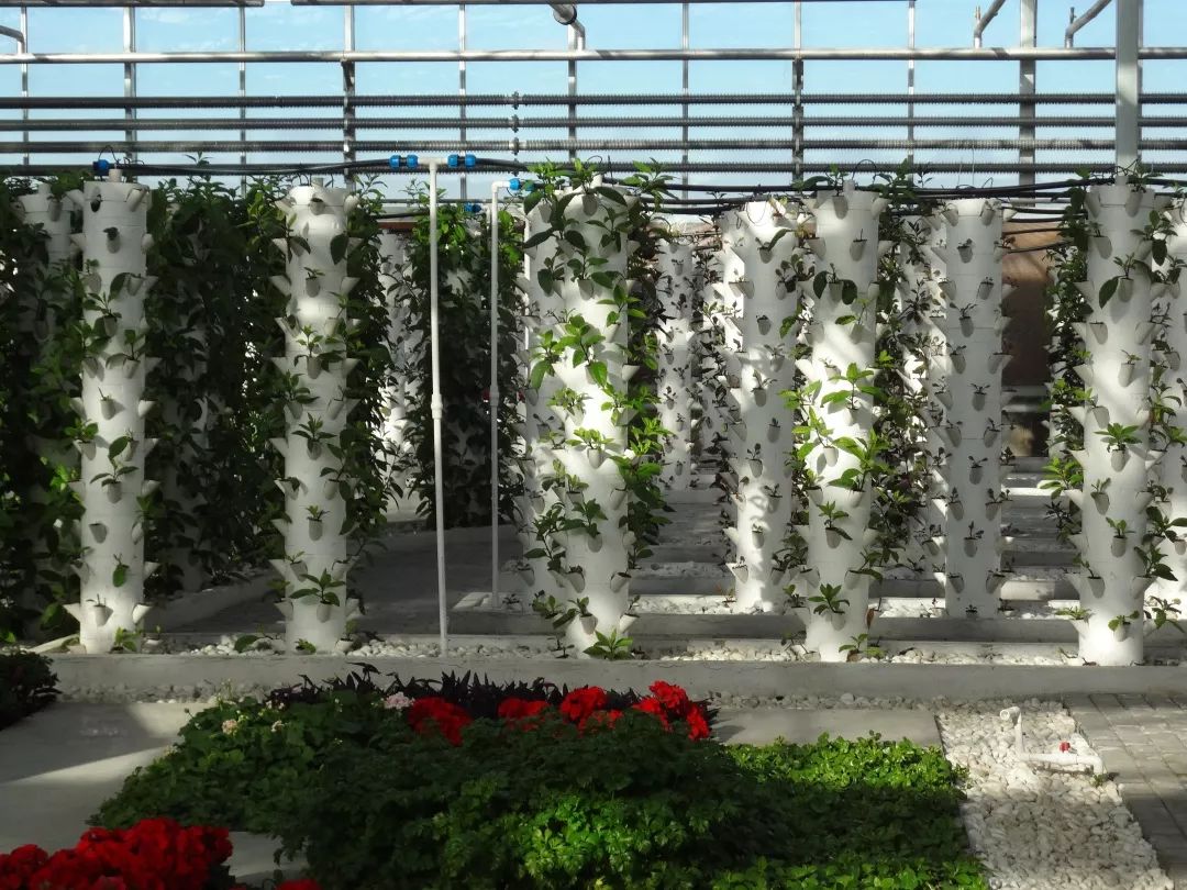 端午小长假去哪玩来这里过足瘾,临河五一假日攻略