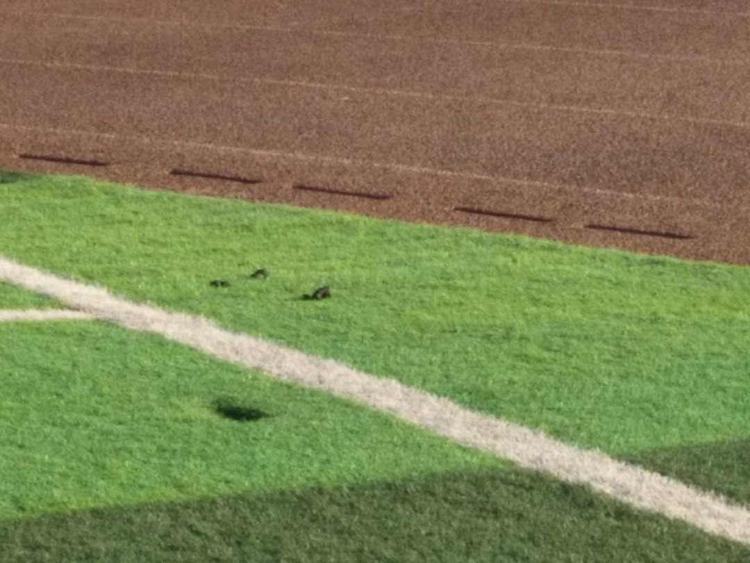 足球场所噪音扰民怎么处理,足球场周边环境治理