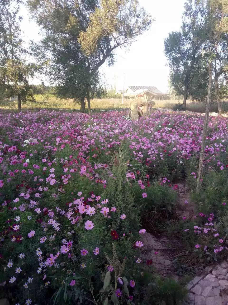 端午小长假去哪玩来这里过足瘾,临河五一假日攻略