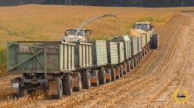 纽约costco厕纸,costco的厕纸