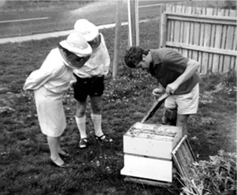 DFS给你讲最甜蜜的故事，试吃折扣还送礼，什么都不缺就缺你