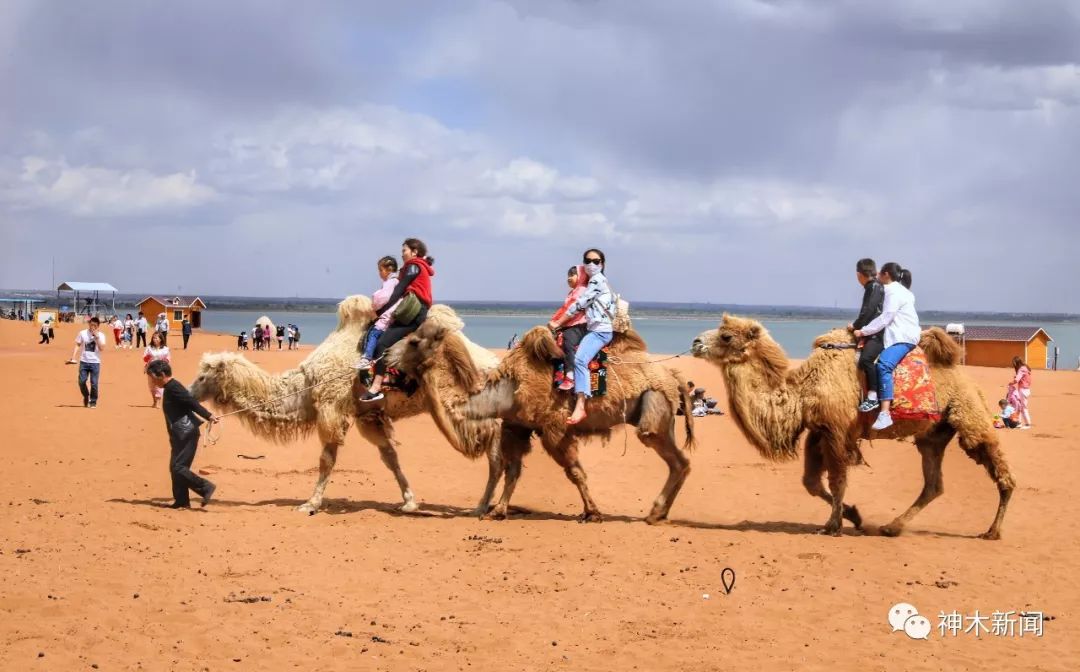 端午节你不知道的菜单,端午节必须做的三件事