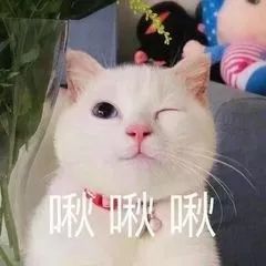 李华高考最新视频,高考搞笑视频段子李华