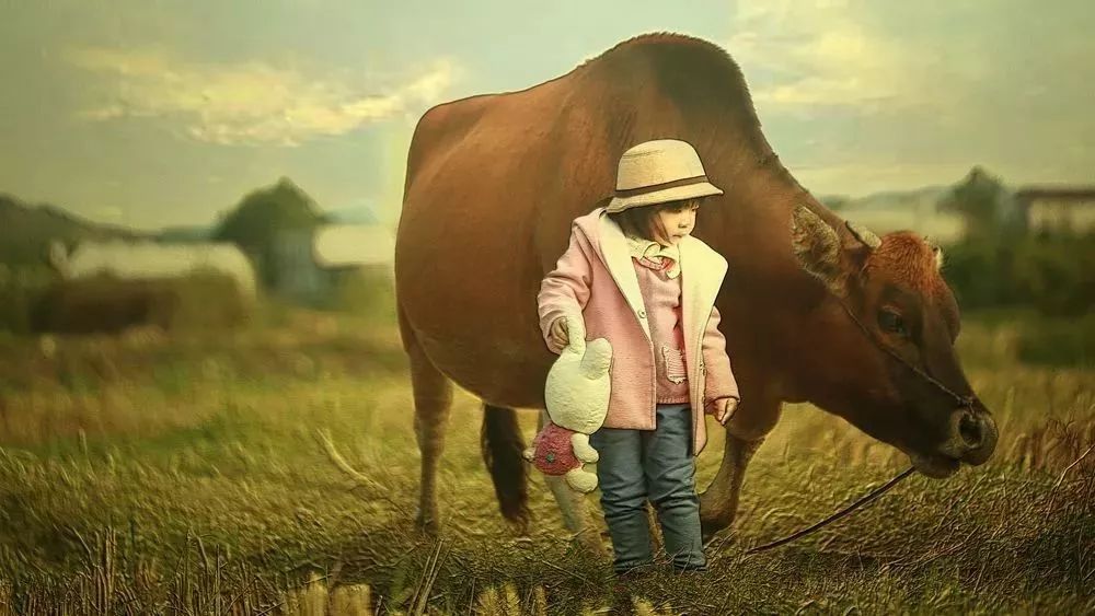 临港海洋节最新视频,临港海洋节