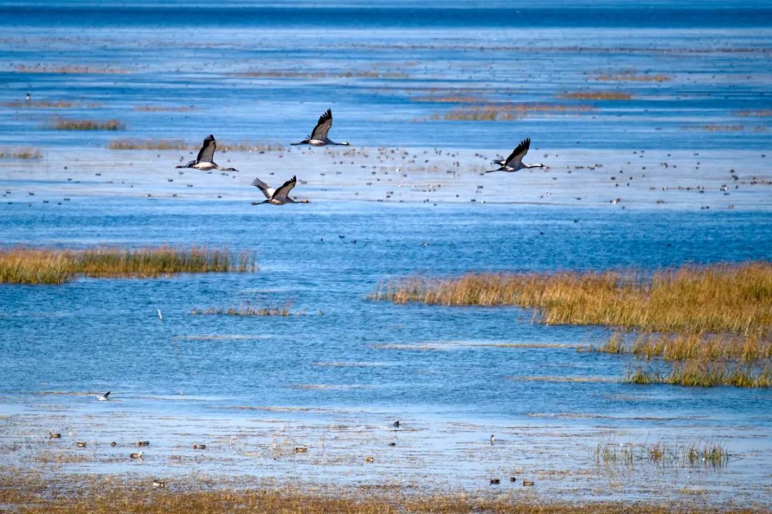 避暑天堂景区门票,避暑天堂门票