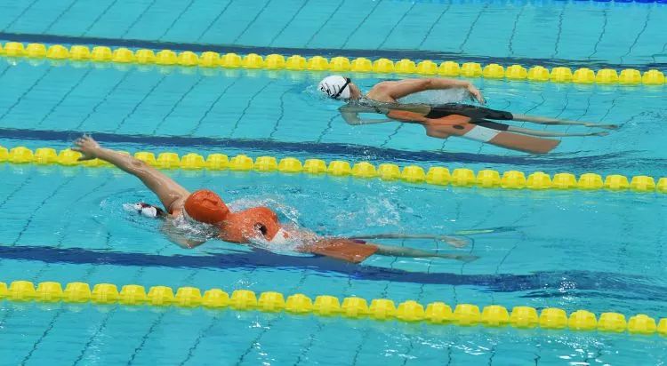 武汉军运会门票预约网站,军运会游泳票价