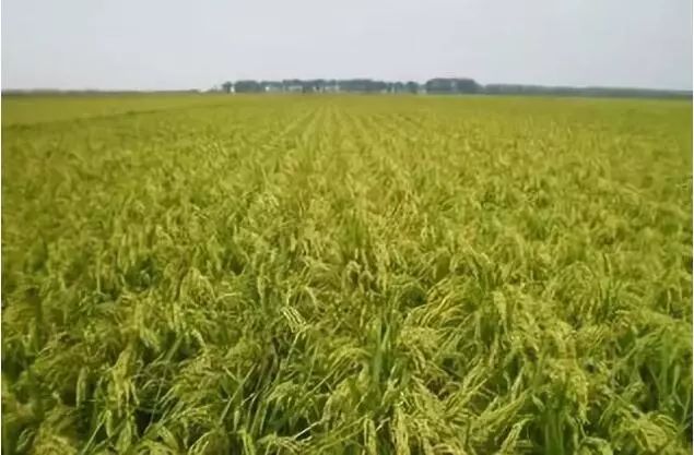 内蒙古有这么多特色之乡,内蒙古长调之乡