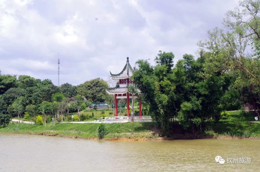 钦州花卉小镇旅游攻略,北部湾花卉小镇最佳观赏时间