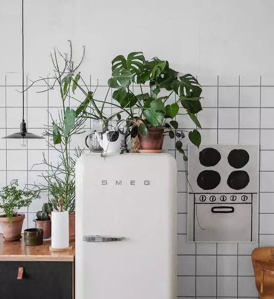 旧毛巾不要扔,旧毛巾别扔剪了放客厅省不少钱