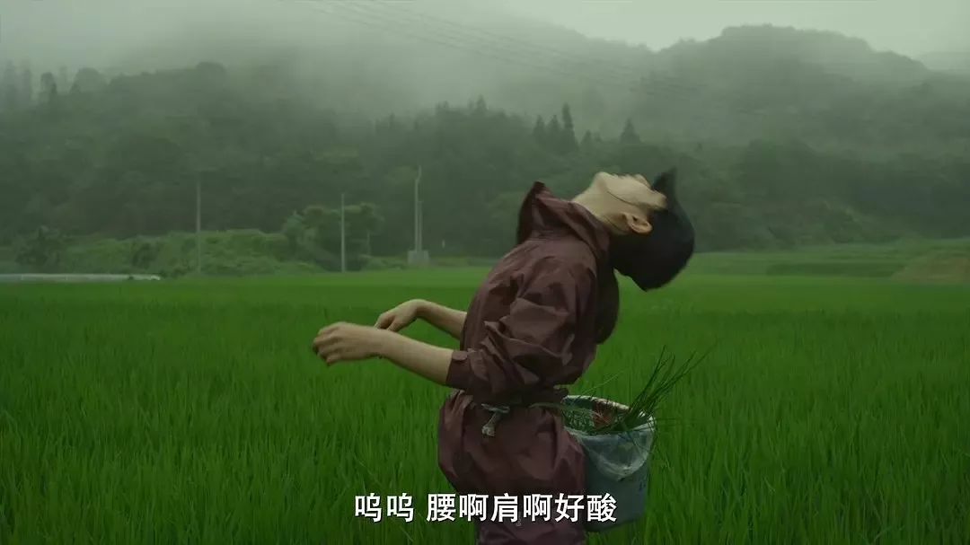 每天可以吃五六种保健品吗,每天吃四种保健品