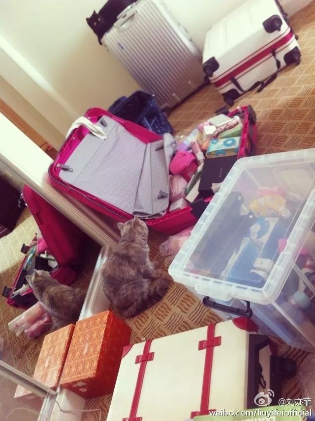 刘亦菲购买日本药妆产品,刘亦菲品牌化妆品