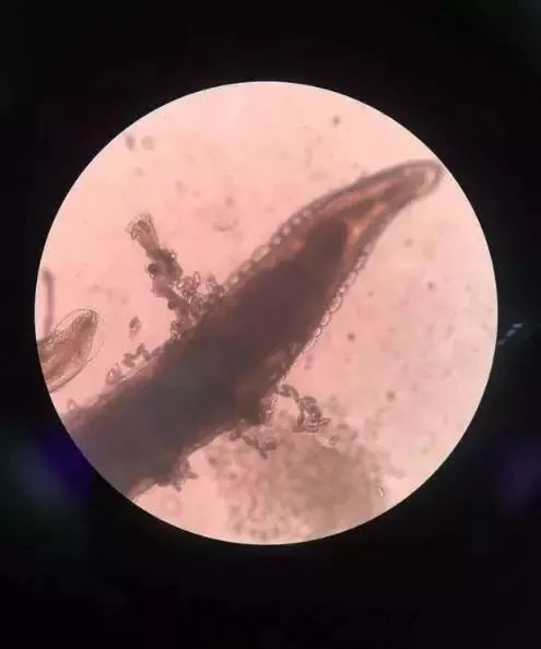 疫情期间家长怎么正确引导孩子,小孩出现四种情况家长要关注了