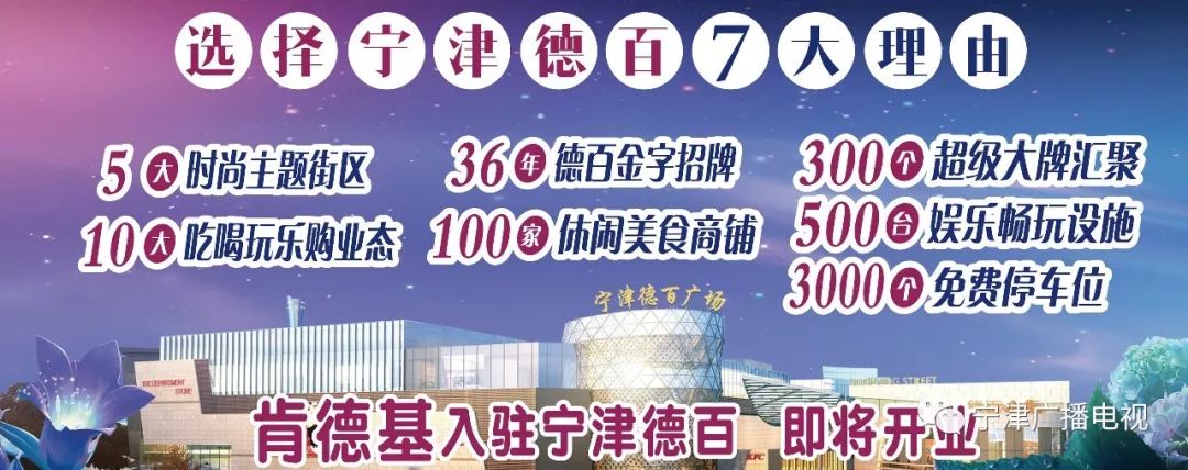 最高68分！宁津这些驾驶员记满12分了！还有这些人到了临界记分