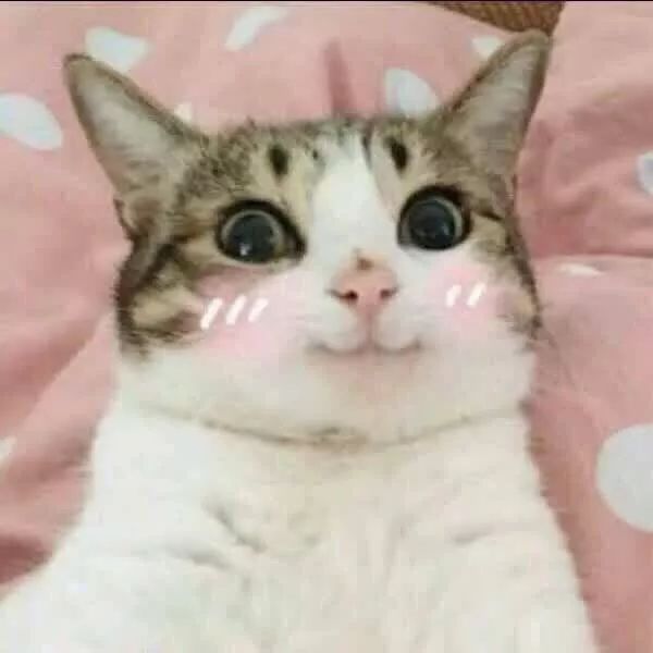 2019年全国城乡居民健康素养调查,居民健康素养监测是什么