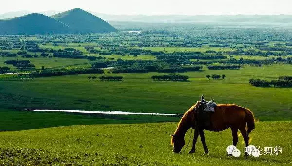 呼伦贝尔牙克石十大旅游景点,呼伦贝尔大草原收藏