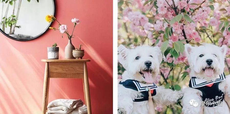 618必买单品有哪些 (618网店有哪些)