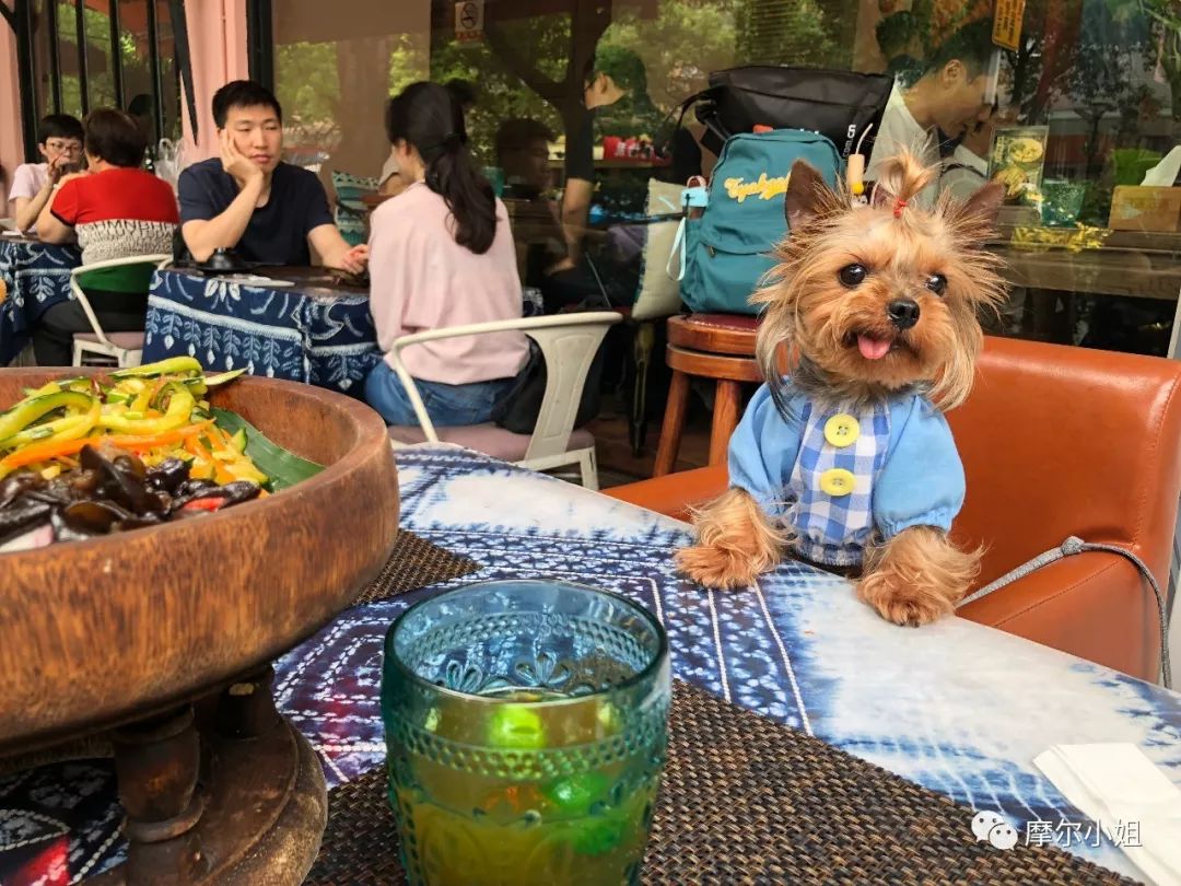 618必买单品有哪些 (618网店有哪些)