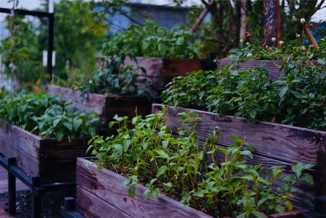 东钱湖度假酒店康得思,东钱湖康得思酒店简介价格