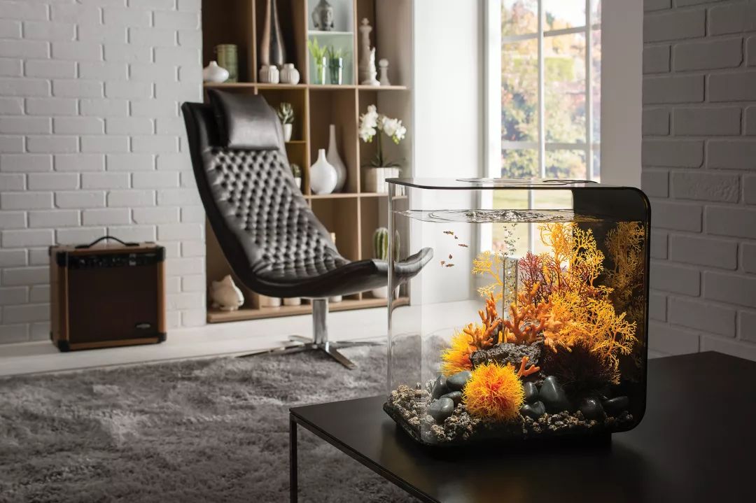 爱旅游的爸妈,爱旅游的男士送什么